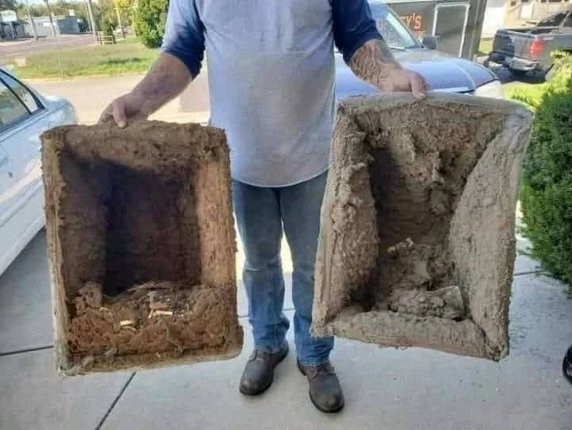 Kroger Distribution Center, 2000 Anvil Block Rd, Forest Park, GA 30297, United States